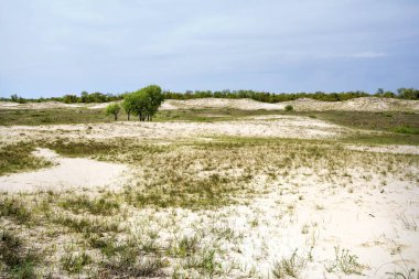 Eski Letea Ormanı ve kum tepeleri, Tuna Deltası'nda muhteşem turistik cazibe, Romanya