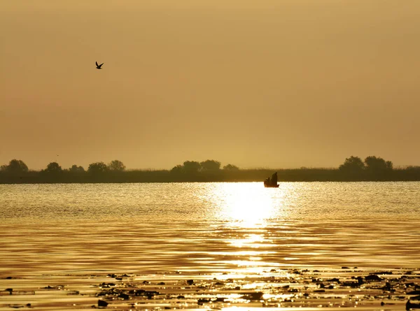 Amazing sunrise in nature reservation of Danube delta, Romania