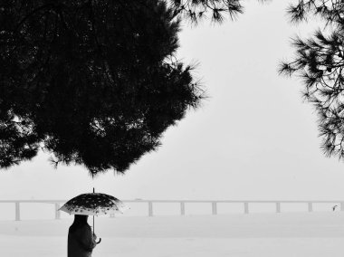 Tagus nehri üzerindeki Vasco da Gama köprüsü Park of Nation'dan görüldü, Lizbon, Portekiz 