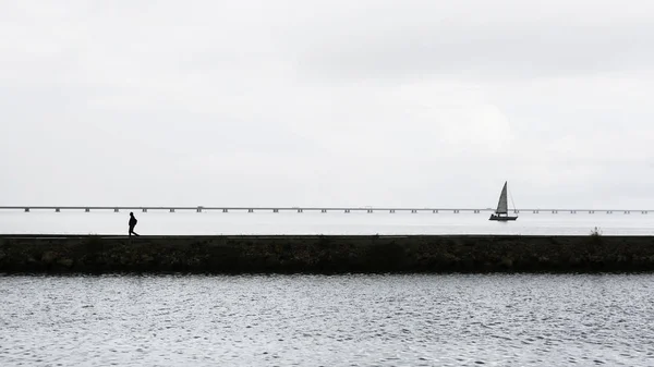 国家公園のテージョ川の海岸でのストリート写真 リスボン ポルトガルの雨の日 背景にバスコ ガマ橋 — ストック写真