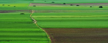 Dobrogea Macin dağlarında Amazing tarım manzara, Romanya