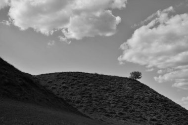 Iacobdeal gölü üzerinde yalnız ağaç, Macin dağları, Romanya 