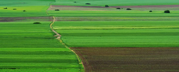 Incroyable Paysage Agricole Dans Les Montagnes Macin Dobrogea Roumanie — Photo