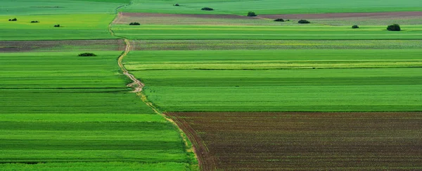 Increíble Paisaje Agrícola Macin Montañas Dobrogea Rumania —  Fotos de Stock