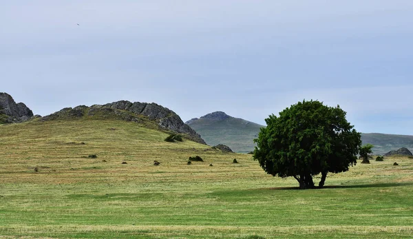 Erstaunliche Landwirtschaftliche Landschaft Macin Berge Von Dobrogea Rumänien — Stockfoto