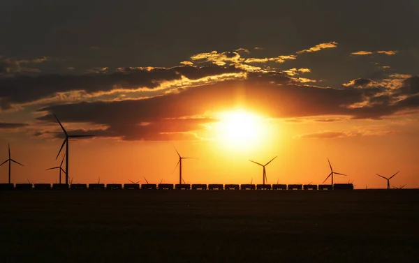 Sunset Wind Turbines Dobrogea Romania — Stock Photo, Image