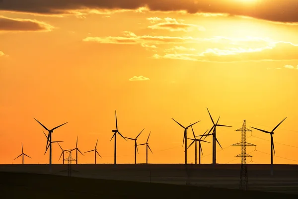 Sunset Wind Turbines Dobrogea Romania — Stock Photo, Image