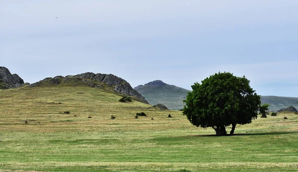 Geweldig Landbouw Landschap Macin Bergen Van Dobrogea Roemenië — Stockfoto