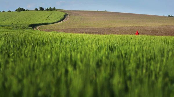 Niesamowity Krajobraz Rolnictwa Górach Macin Dobrogea Rumunia — Zdjęcie stockowe