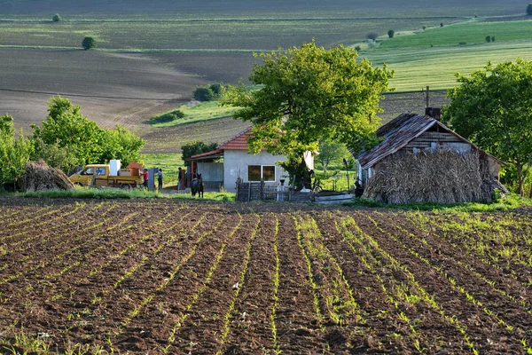 Vista Rural Zona Montañas Macin Condado Tulcea Rumania —  Fotos de Stock