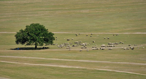 Paesaggio Minimo Montagne Macin Dobrogea Romania — Foto Stock