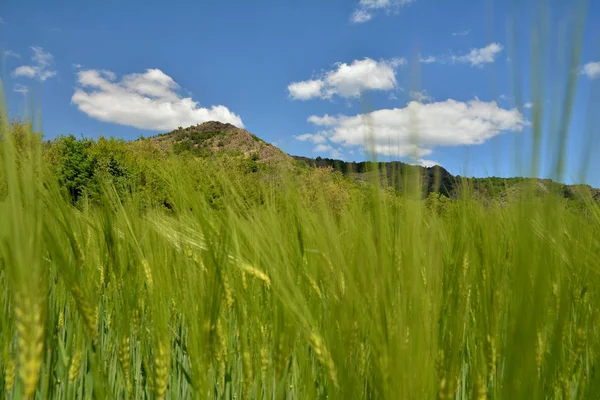 Incroyable Paysage Agricole Dans Les Montagnes Macin Dobrogea Roumanie — Photo