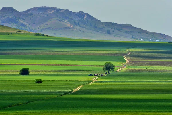 Increíble Paisaje Agrícola Macin Montañas Dobrogea Rumania —  Fotos de Stock