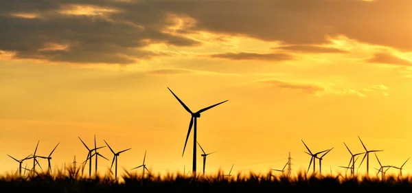 Sunset Wind Turbines Dobrogea Romania — Stock Photo, Image