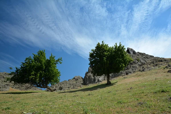 Mary Steine Schöne Felsige Gegend Macin Berge Von Dobrogea Rumänien — Stockfoto