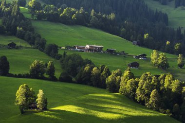 Yeşil tarlaları ve evleri olan dağ Alpleri manzarası