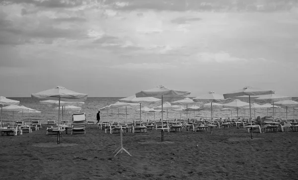 Зонтики Шезлонги Пляже Сезонный Фон — стоковое фото
