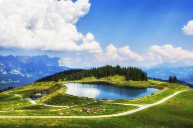 Summer hiking experience in Scheffau am Wilden Kaiser, Tirol, Austria