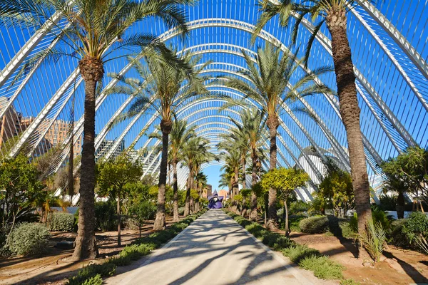 Valencia, İspanya - 8 Kasım 2016. Valencia, İspanya 'da geleneksel ultradeniz İspanyol mozaiği ile süslenmiş yerli Valencia bitkilerinin yer aldığı Lthe Umbracle galerisinin mimari bahçesi