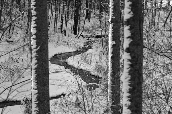 Natureza Fundo Tempo Inverno — Fotografia de Stock