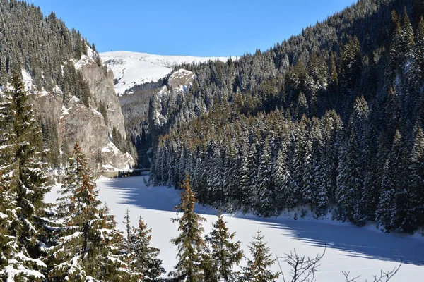Winterlandschaft Bucegi Karpaten Sinaia Mountain Resort — Stockfoto