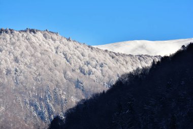 Bucegi, Karpatlar Dağları 'ndaki Sinaia Dağları' ndaki kış manzarası.
