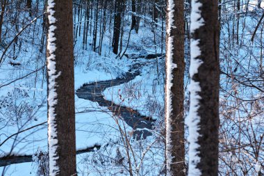 Kış zamanında doğa arka plan 