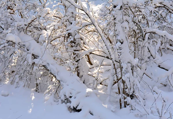 Tle Natura Okresie Zimowym — Zdjęcie stockowe