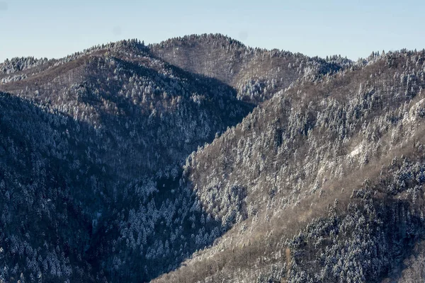 Paisaje Invernal Con Bosques Pinos Las Montañas Bucegi Rumania — Foto de Stock