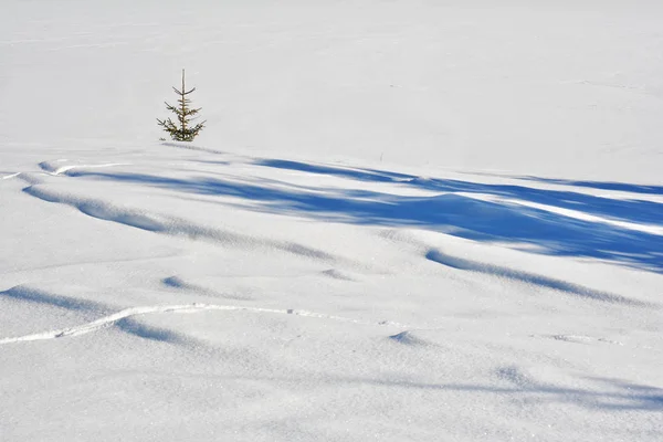 White Winter Background Simply Nature — Stock Photo, Image