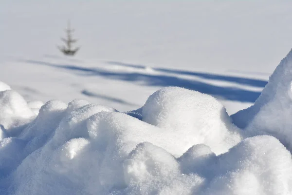 Fondo Blanco Invierno Simplemente Naturaleza — Foto de Stock