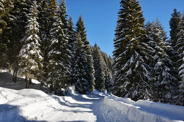 Straße Durch Die Berge Bucegi Rumänien — Stockfoto