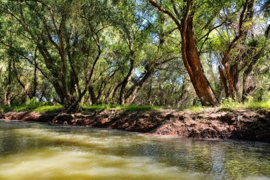 Nehir ve kıyıların güzel manzarası