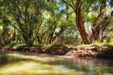 Nehir ve kıyıların güzel manzarası