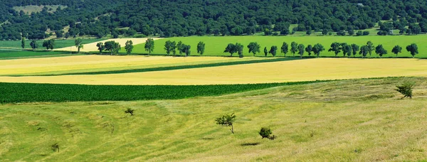 Hermoso Paisaje Verano Región Dobrogea Rumania Vista Desde Fortaleza Medieval —  Fotos de Stock