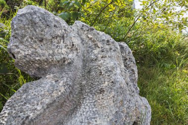 WAIDRING, TiROL, AUSTRIA - 29 Ağustos 2016. Avusturya 'nın Steinplatte dağlarındaki Triassic Parc' ta eğlence ve macera. Fosiller mercanlar.