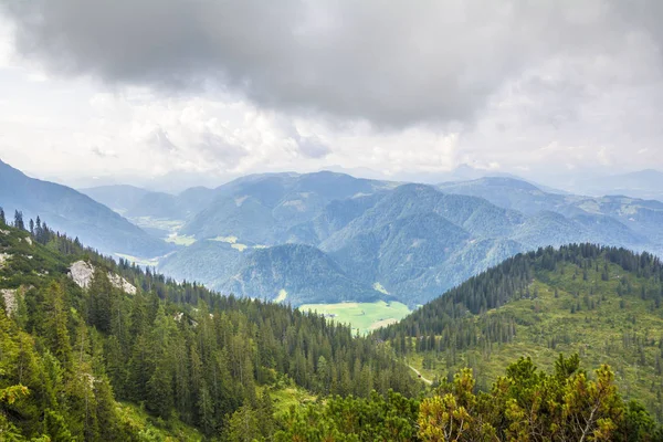 アルプス シュタインプレート山 チロル オーストリアの美しい夏の景色 — ストック写真