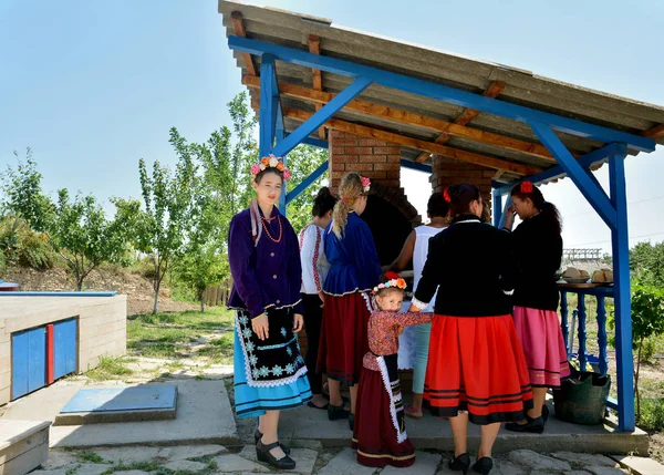 Visina Тулча Румунія Червня 2017 Року Автентичні Місцевого Досвіду Visina — стокове фото