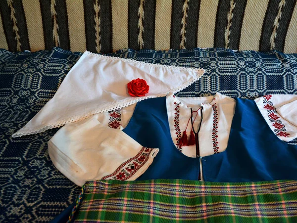 Visina Tulcea Romania June 2017 Dobrogea纪念品主办的Serbare Campeneasca Quot 庆祝多族裔社区精神和Dobrogea地区的美丽 — 图库照片