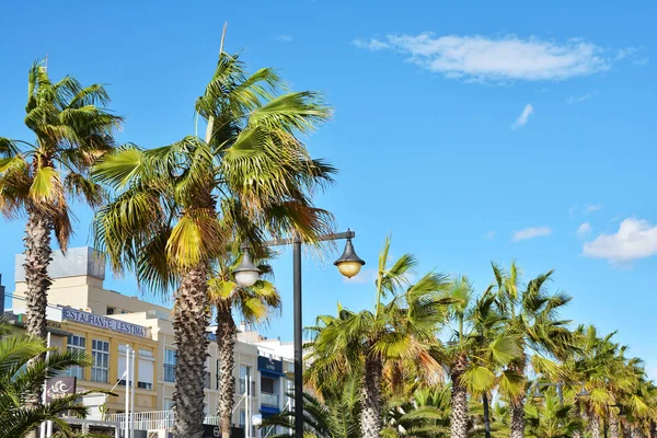 Валенсия Испания Ноября Морская Набережная Отелями Ресторанами Пляже Мальварроса Городе — стоковое фото