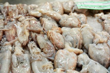 buz üstünde taze kalamar