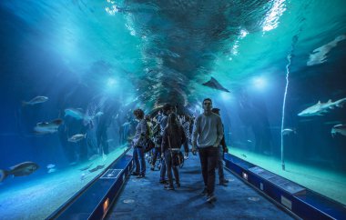 Valencia , İspanya - 7 Kasım 2016. Oşinografik içinde Turistler, Bir İspanyol oceanarium 2002 yılında, Valencia, İspanya açıldı.