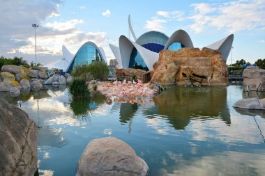 Valencia, İspanya - 11 Kasım 2016. Oşinografik merkeziflamingo havuzunda sonbahar gün batımı , Valencia , İspanya.