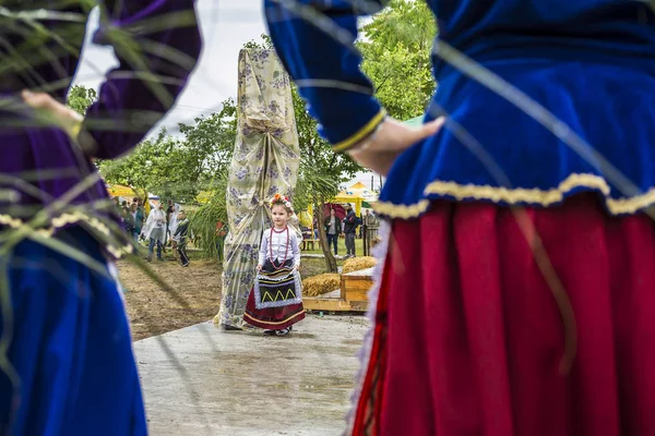 Visina Tulcea Rumunia Czerwca 2017 Serbare Campeneasca Wydarzenie Organizowane Przez — Zdjęcie stockowe