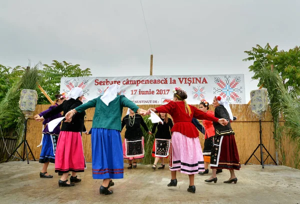 Visina Tulcea Rumänien Juni 2017 Serbare Campeneasca Veranstaltung Mit Souvenir — Stockfoto