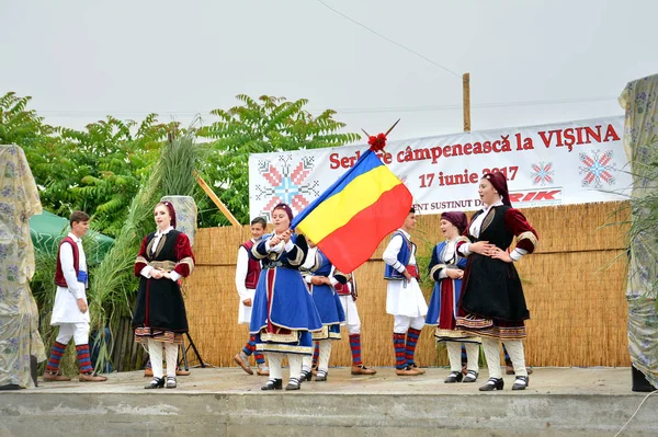 Visina Tulcea Rumania Junio 2017 Serbare Campeneasca Evento Organizado Por —  Fotos de Stock