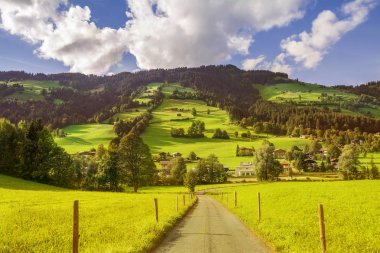 Westendorf kırsal manzara , Alpler dağları, Tirol, Avusturya