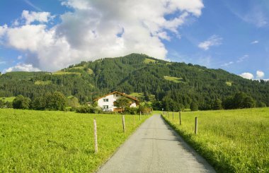 Westendorf kırsal manzara , Alpler dağları, Tirol, Avusturya