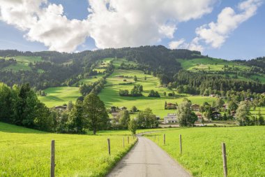 Westendorf kırsal manzara , Alpler dağları, Tirol, Avusturya