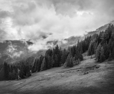 Avusturya, Tirol 'de fırtınalı yaz manzarası